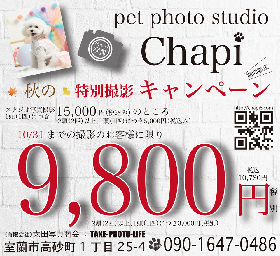 Pet Photo Studio Chapi