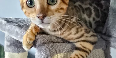 ジェイシーちゃん☆